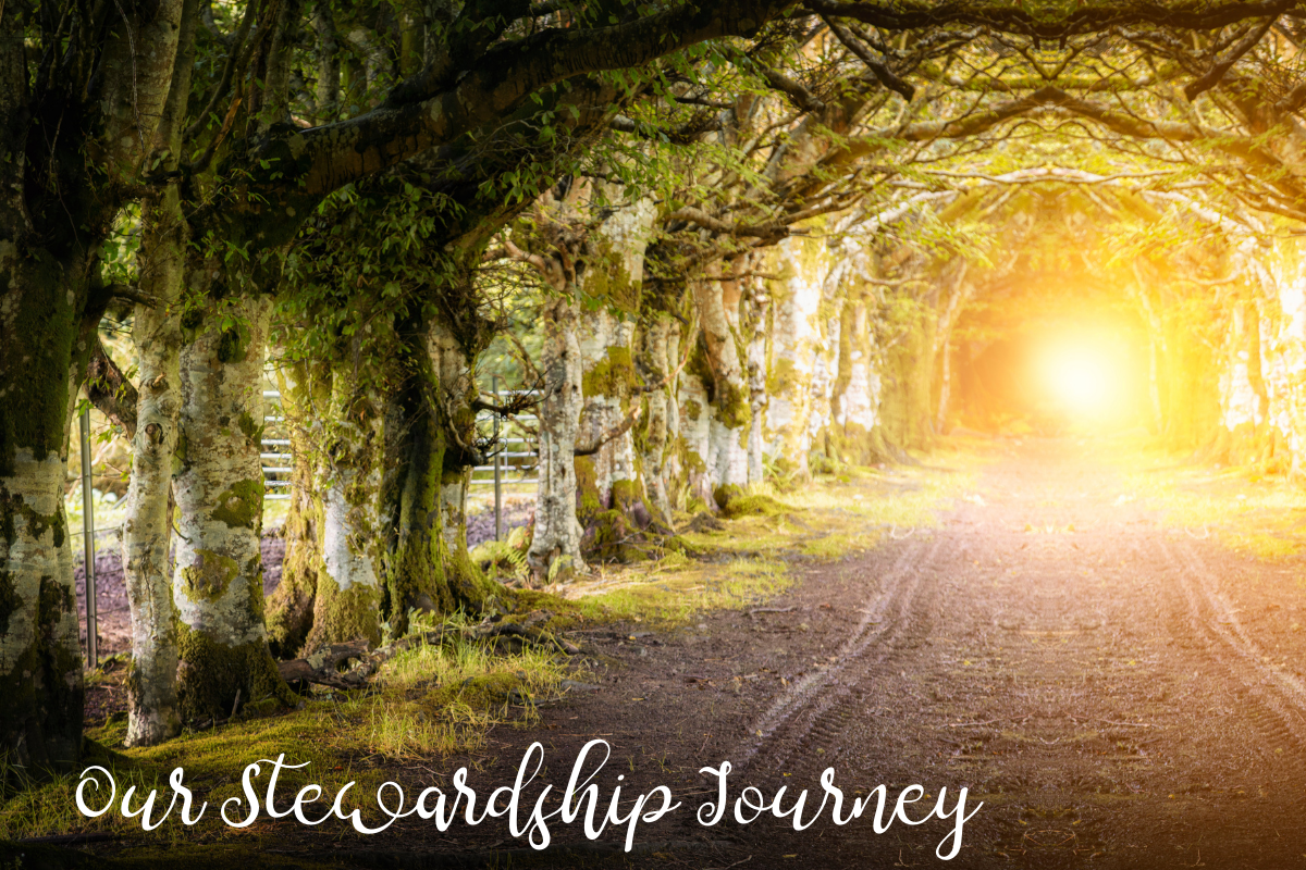 Our Stewardship Journey