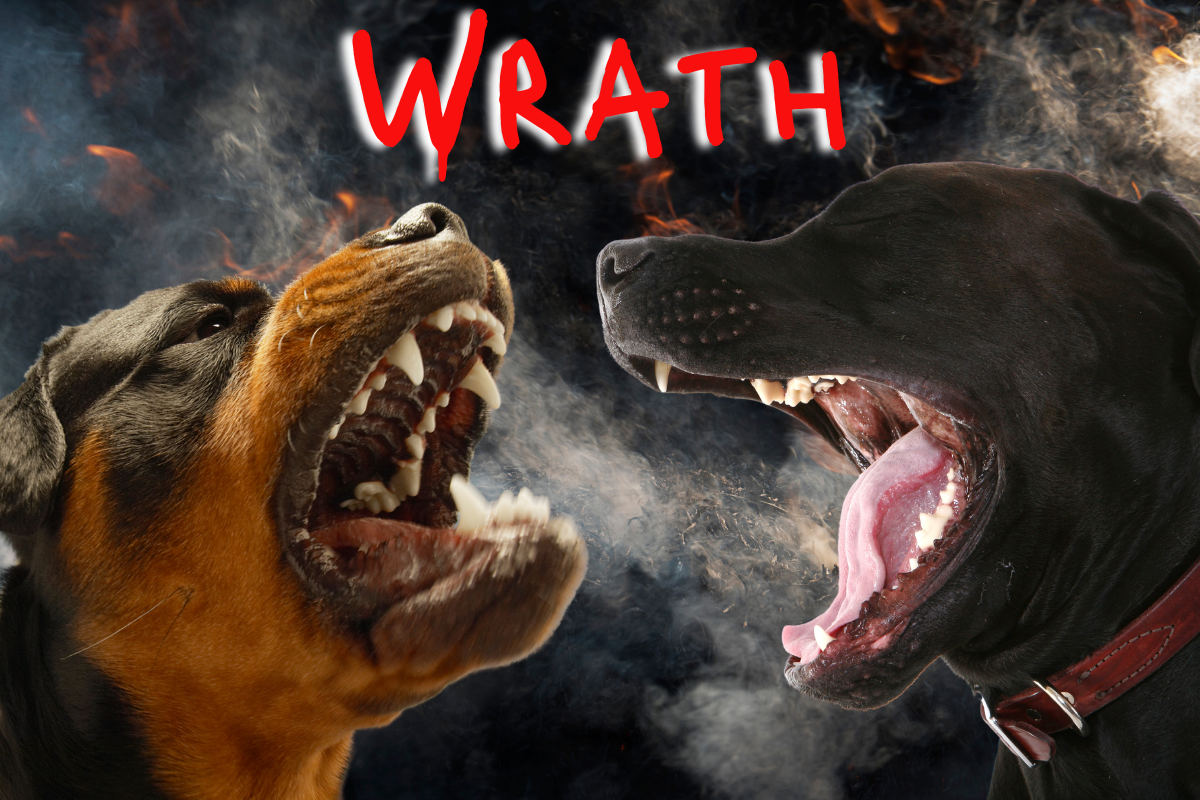 Wrath