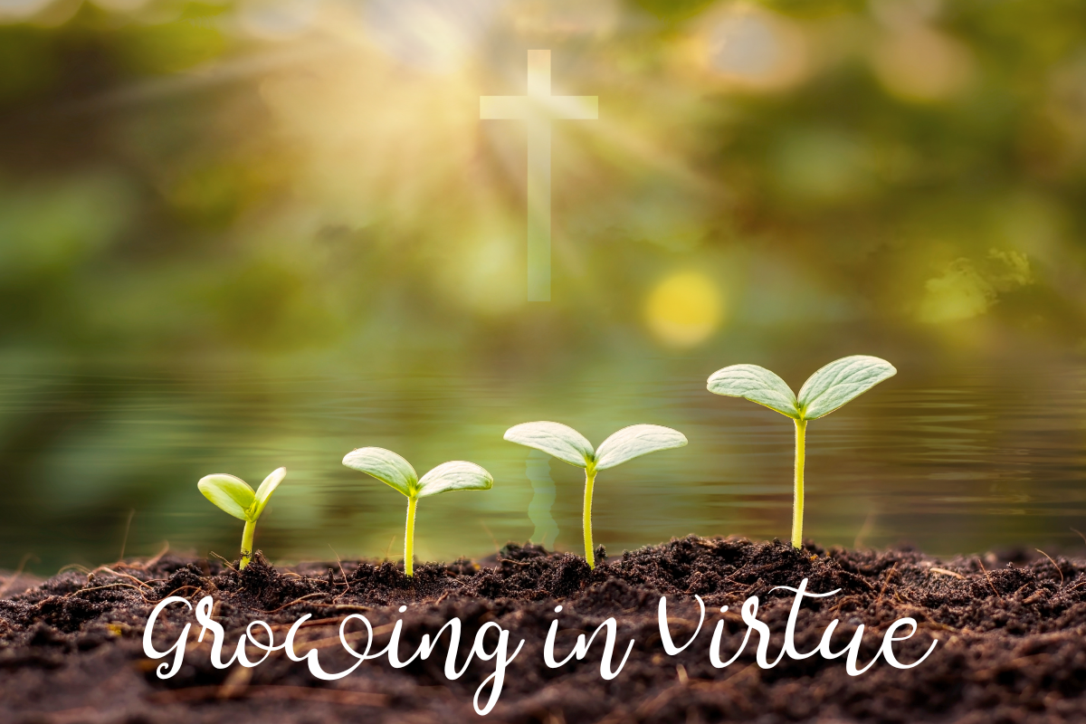 Growing in Virtue