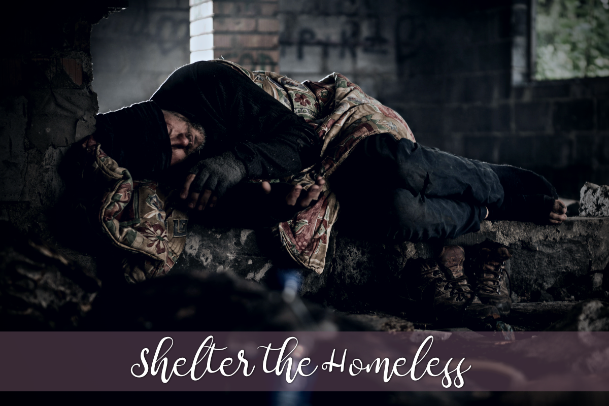 Shelter the Homeless