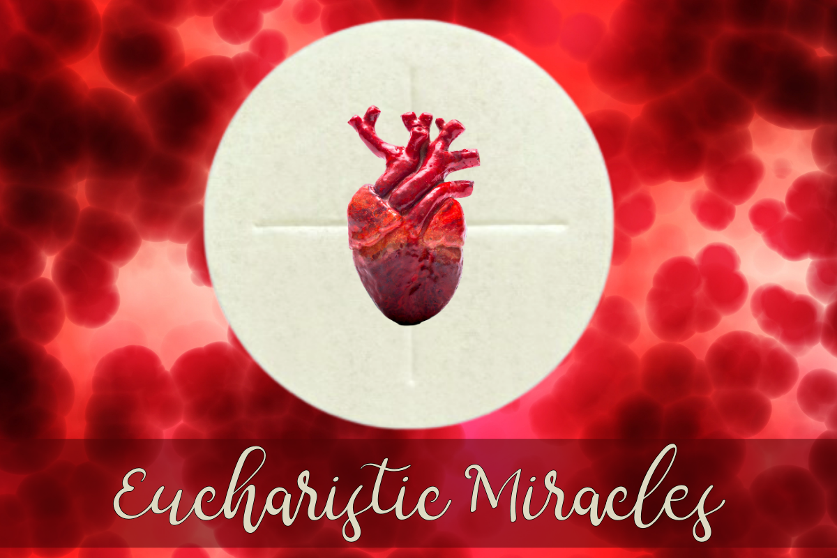 Eucharistic Miracles: Encountering Jesus in the Blessed Sacrament