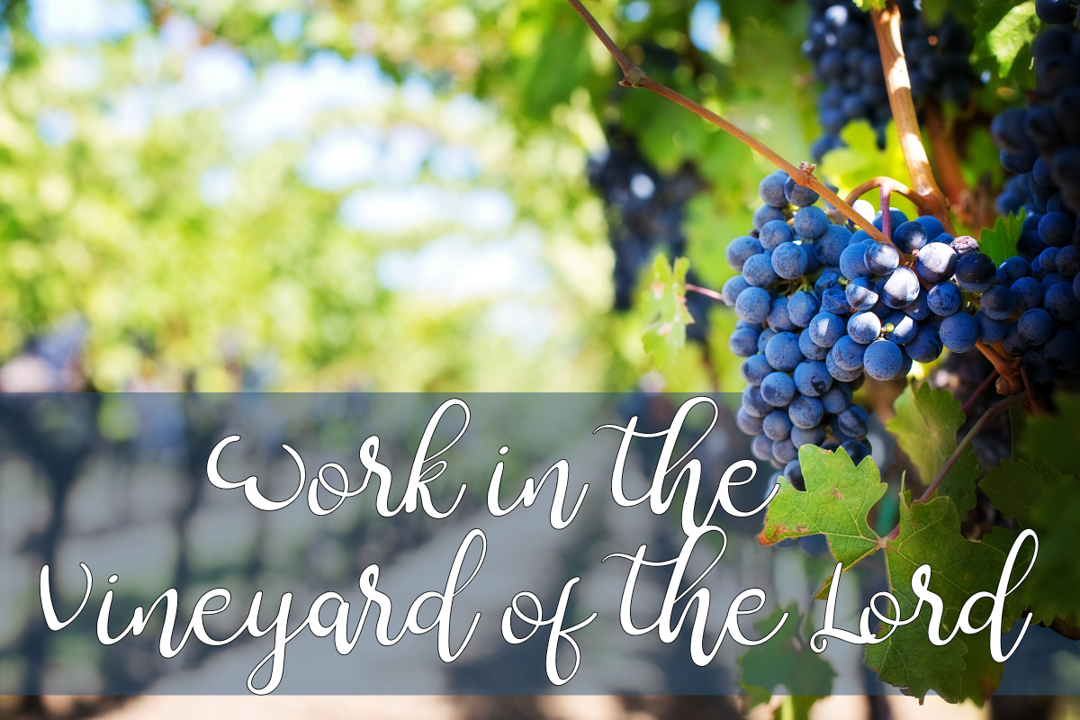 Work in the Vineyard of the Lord