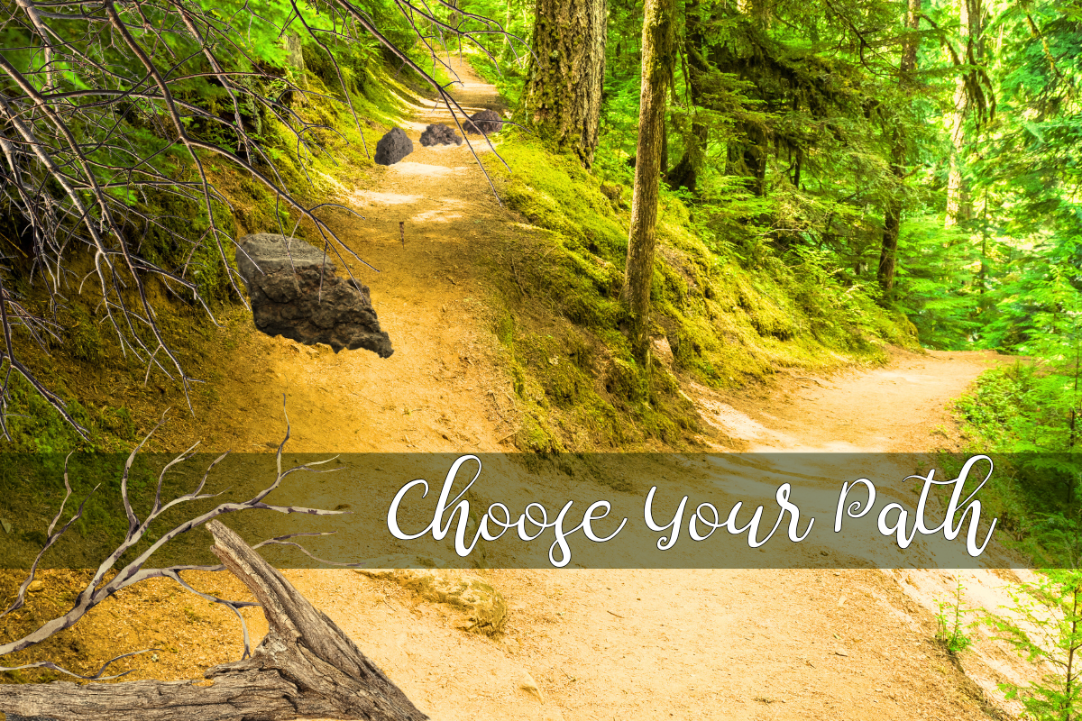 Choose Your Path