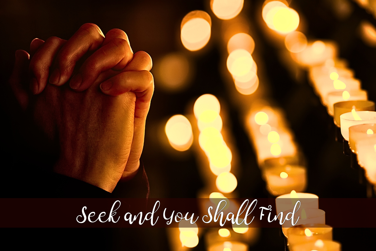 Seek and You Shall Find