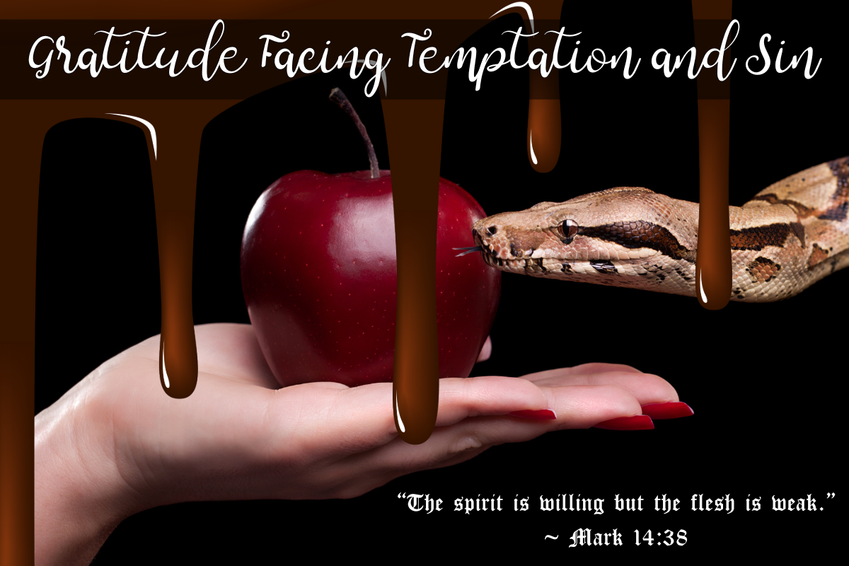 Gratitude Facing Temptation and Sin
