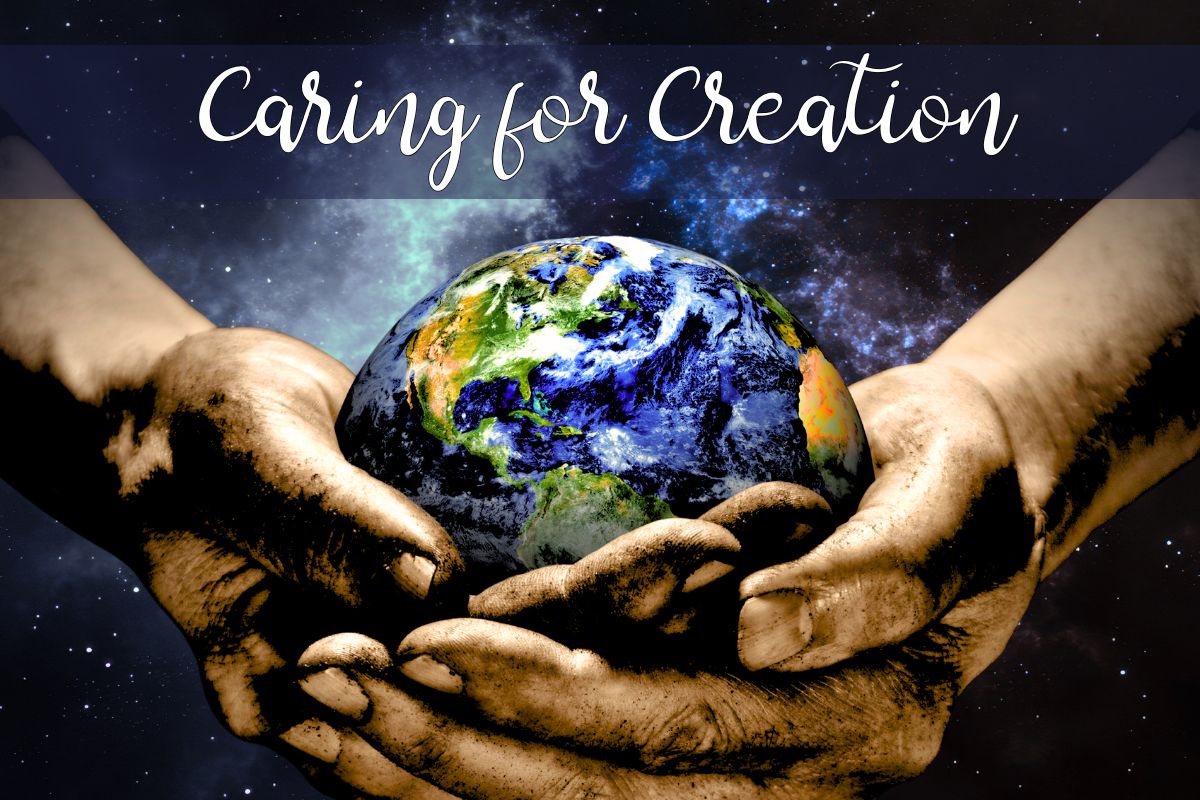Caring for Creation