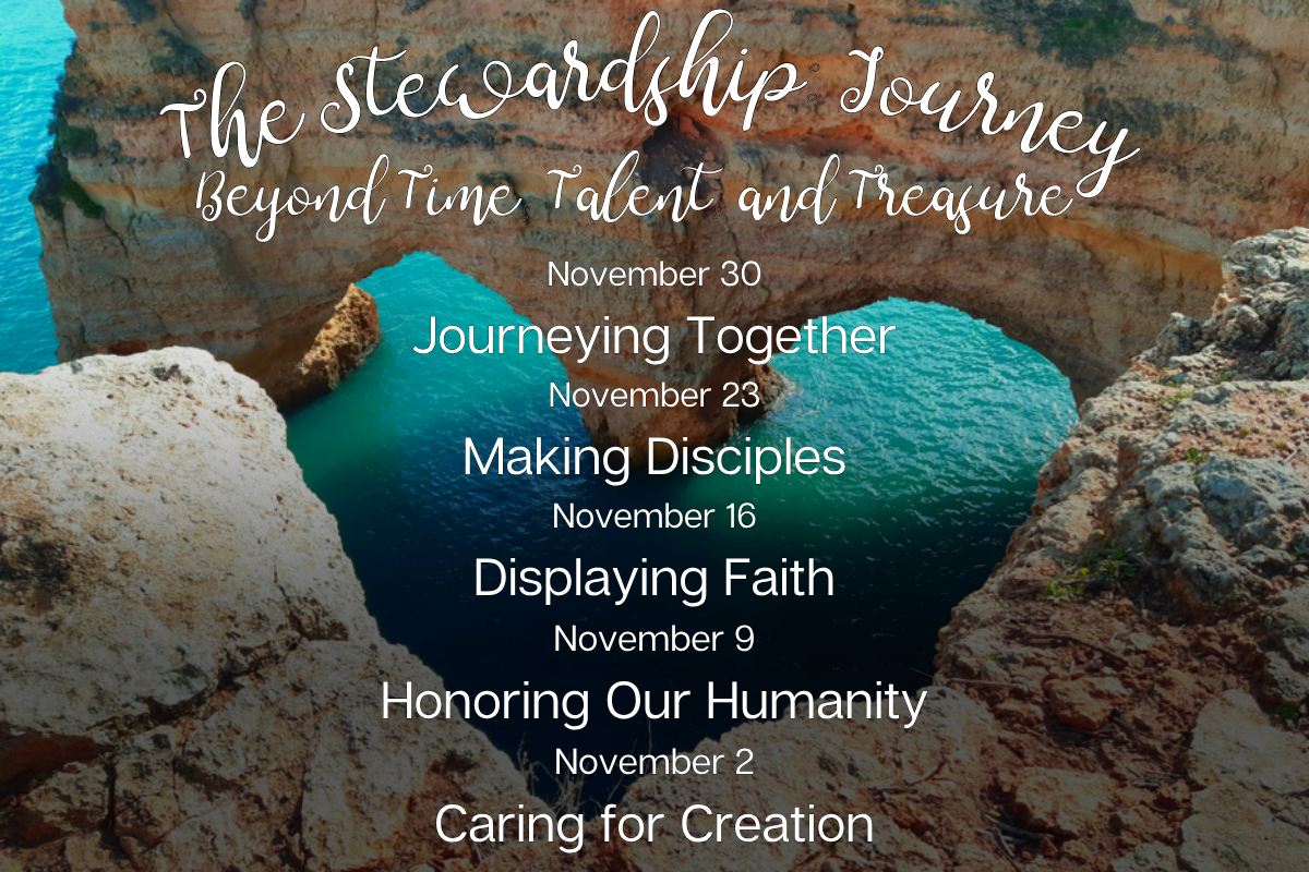 Weekly Challenge November 2025: The Stewardship Journey
