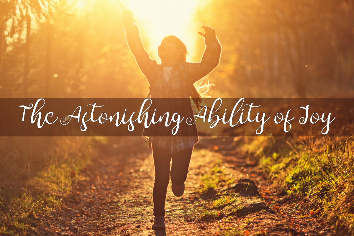 The Astonishing Ability of Joy to Sustain the Soul
